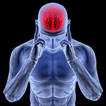 brain