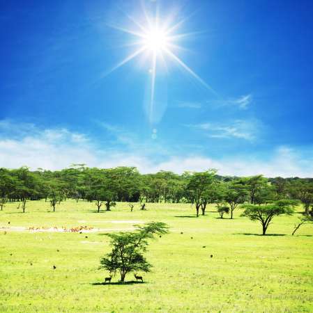 Africa
