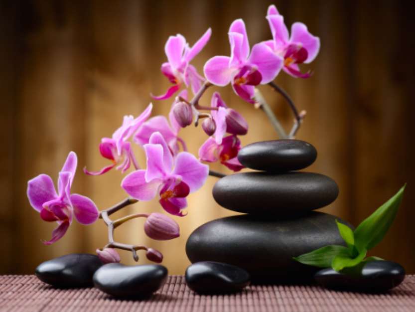 spa concept
