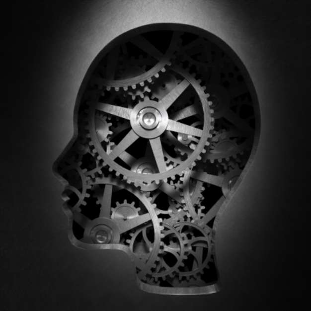 Gears inside a head