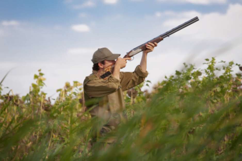 Hunter hunting the game, bird hunt