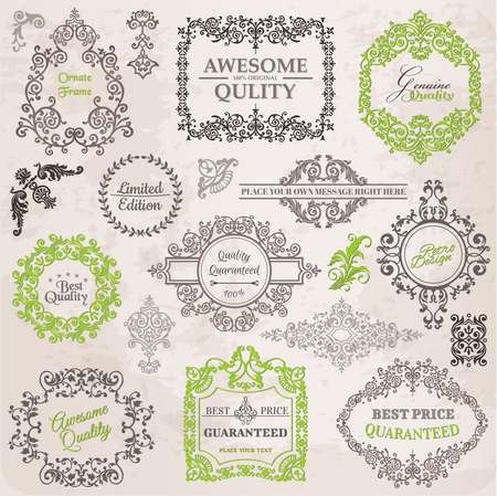 Vector Set: Calligraphic Design Elements and Page Decoration, Vi
