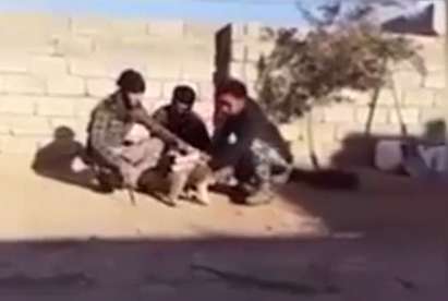 کشف سگ بمب‌گذاری شده داعش در «نینوا»!