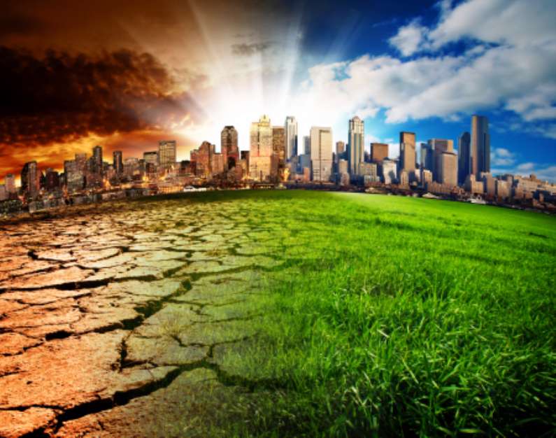 Global Disaster
