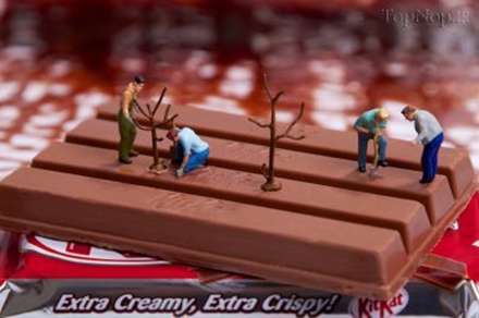 زندگی انسان هاي مینیاتوری