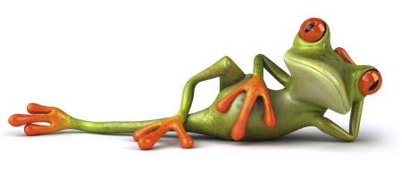 Grenouille allongأ©e