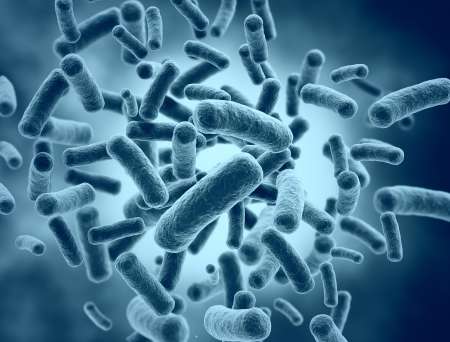 Bacteria high resolution 3d render
