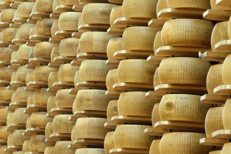 typical italian cheese product