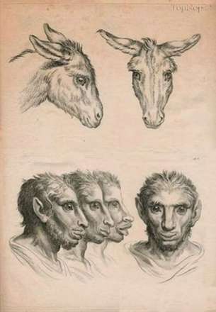 چهره سازی انسان بر اساس حیوانات