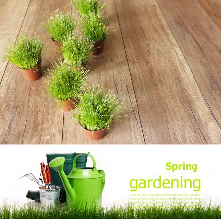Gardening  board concept