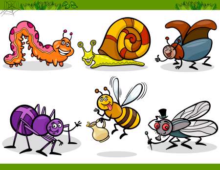 happy insects set cartoon illustration