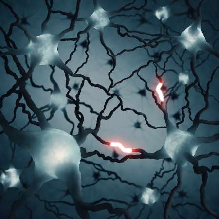 Neuron
