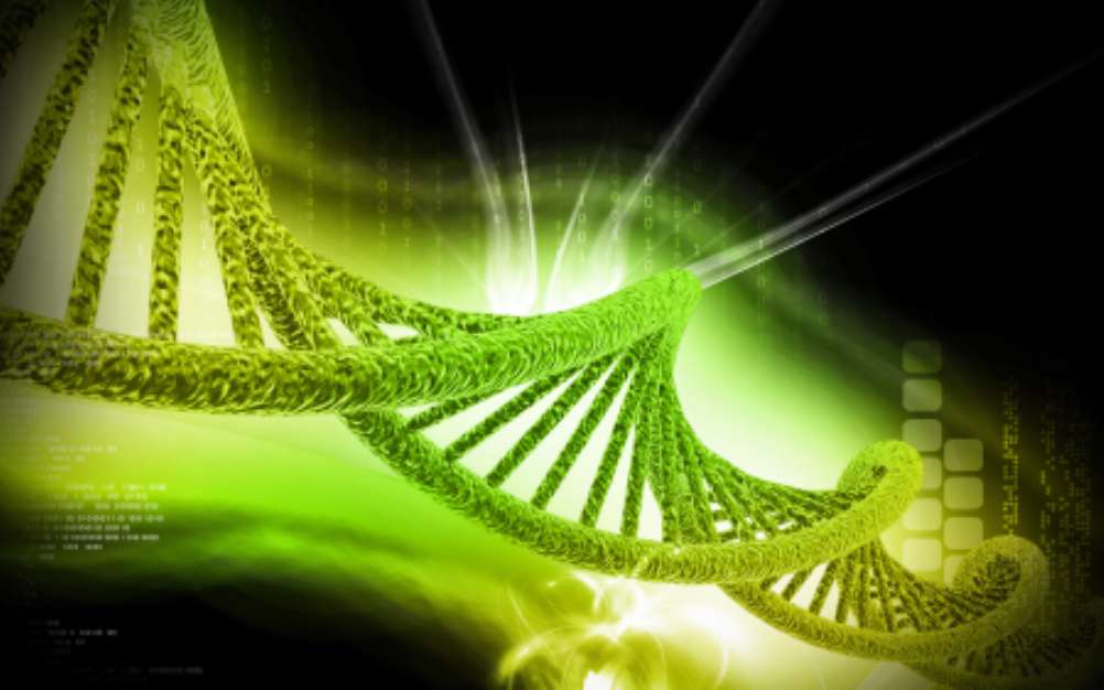 DNA