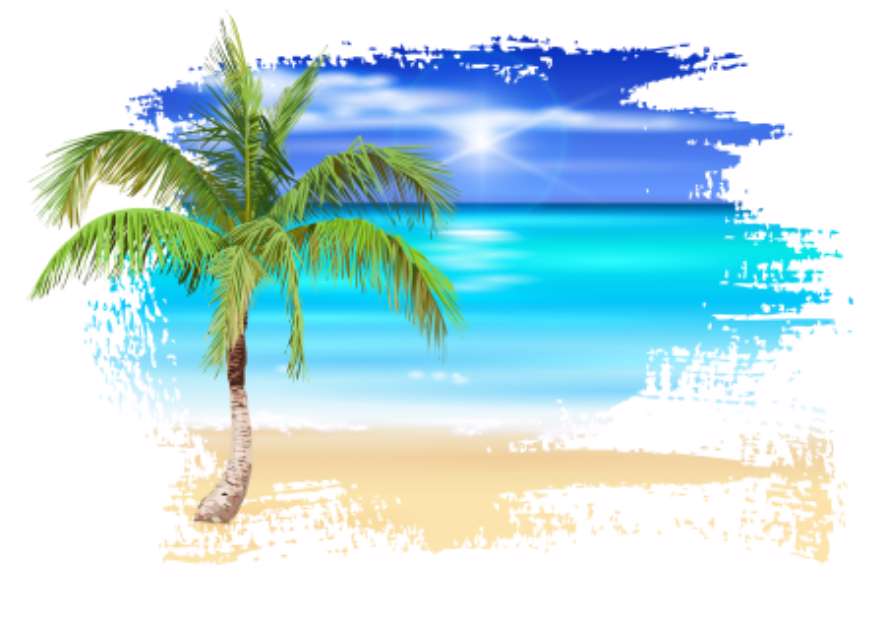 Palm tree on the beach