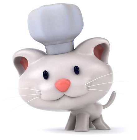 Fun cat