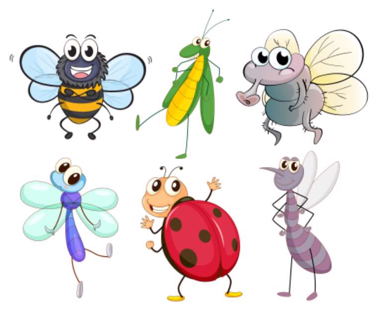 Different insects