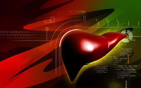 liver