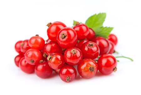 Ripe red currant