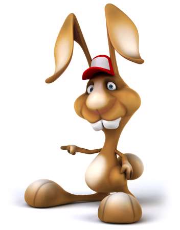 Fun rabbit