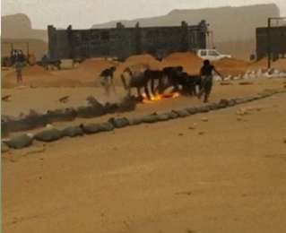 تمرین جالب برای آمادگی نیروهای نظامی!