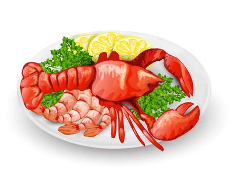 Lobster on plate with lemon shrimps and parsley seafood restaurant menu concept vector illustration