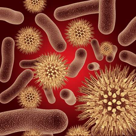 Realistic rendering of bacteria - in red colors