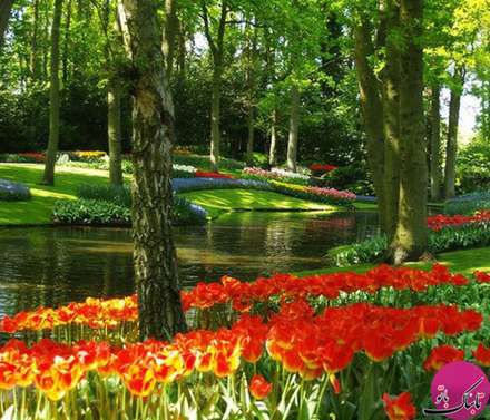 تصاویری از باغ‌آرایی‌های زیبا و چشم‌نواز