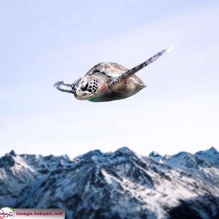 تلفیق فتوشاپ و خلاقیت با حس شوخ طبعی