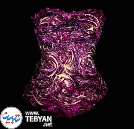 طراحی لباس های مجلسی زنانه با مواد غذایی