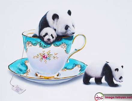 تصویرسازی های فراواقعی و زیبا از حیوانات