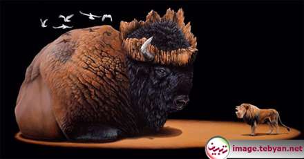 تصویرسازی های فراواقعی و زیبا از حیوانات