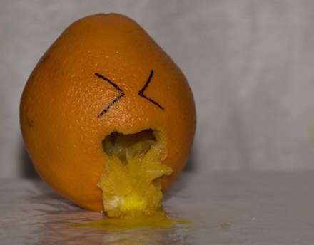 عکسهای خنده دار و جالب شکلک های بامزه روی میوه ها