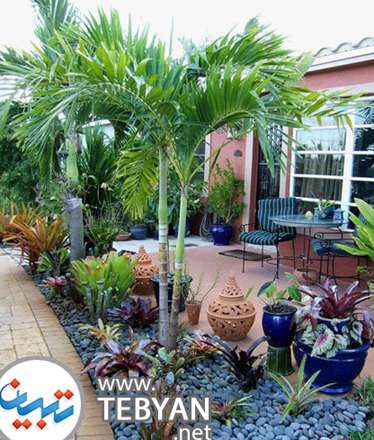 سنگ‌ریزه‌های زینت‌بخش باغچه‌های خانگی