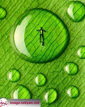 تلفیق فتوشاپ و خلاقیت با حس شوخ طبعی