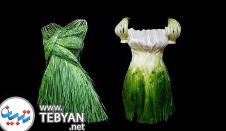 طراحی لباس های مجلسی زنانه با مواد غذایی