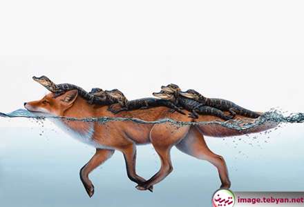 تصویرسازی های فراواقعی و زیبا از حیوانات