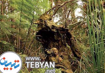عکسهای مجسمه های چوبی بی نظیر در میان جنگل