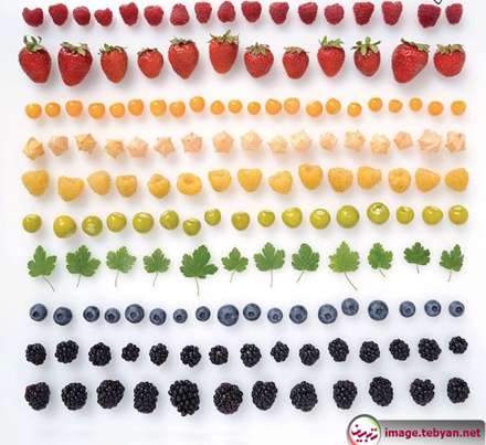 دایره المعارف رنگین کمان با رنگ های طبیعت