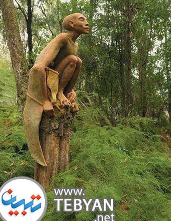 عکسهای مجسمه های چوبی بی نظیر در میان جنگل