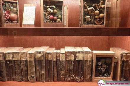 زایلوتک؛ کتابخانه چوبی