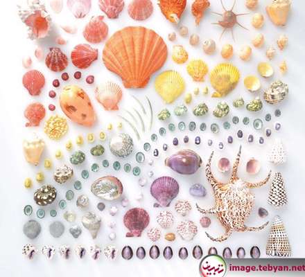 دایره المعارف رنگین کمان با رنگ های طبیعت