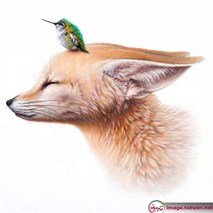 تصویرسازی های فراواقعی و زیبا از حیوانات