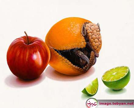 تصویرسازی های فراواقعی و زیبا از حیوانات