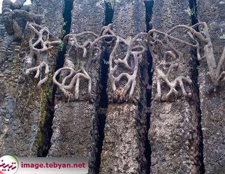 باغ سنگی دیدنی در شاندیگار