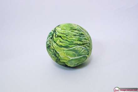 اگر میوه ها و سبزیجات شکل و درونشان فرق می کرد