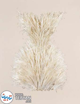 طراحی لباس های مجلسی زنانه با مواد غذایی