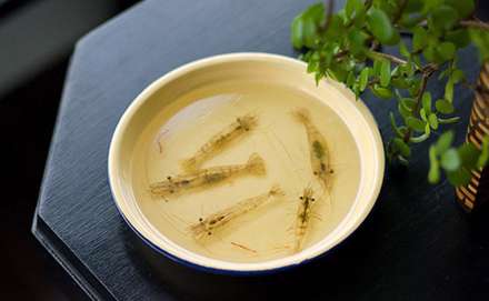 نقاشی های سه بعدی باورنکردنی از موجودات دریایی