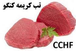 همه چیز درباره «تب کریمه کنگو» ببینید