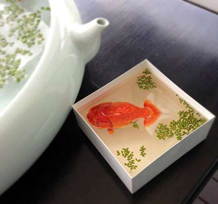 نقاشی های سه بعدی باورنکردنی از موجودات دریایی