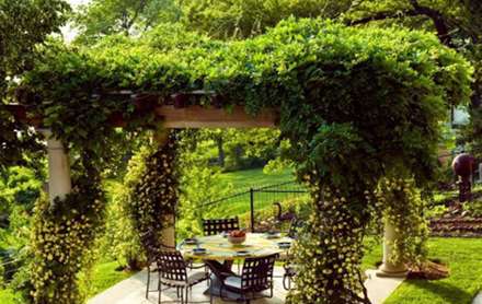 آلاچیق‌های سبز، چشم‌اندازی زیبا برای باغ و باغچه